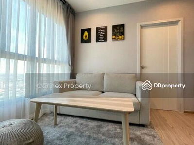 The Tree Hua Mak, Bangkok, Thailand The Tree Hua Mak, Bangkok, Thailand