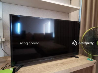 The Tree Sukhumvit 71-Ekamai, Bangkok, Thailand The Tree Sukhumvit 71-Ekamai, Bangkok, Thailand