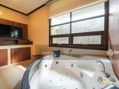 ASRP0314, Chiang Mai, Thailand ASRP0314, Chiang Mai, Thailand