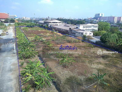 Land for rent Purple area, divided for rent, 1-4 rai, next to Setthakit Road 1, Om Noi, Krathum Baen, Samut Sakhon, Bangkok, Thailand Land for rent Purple area, divided for rent, 1-4 rai, next to Setthakit Road 1, Om Noi, Krathum Baen, Samut Sakhon, Bangkok, Thailand