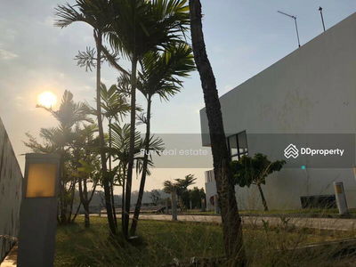 Golden Coast Sriracha Phase2, Chon Buri, Thailand Golden Coast Sriracha Phase2, Chon Buri, Thailand