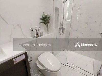 Siamese Exclusive Queens, Bangkok, Thailand Siamese Exclusive Queens, Bangkok, Thailand