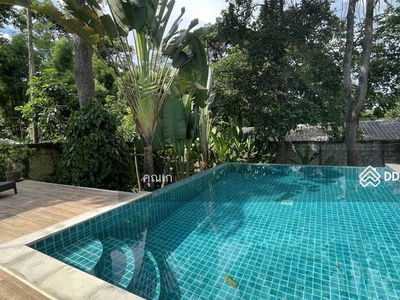 A1MG0412, Chiang Mai, Thailand A1MG0412, Chiang Mai, Thailand