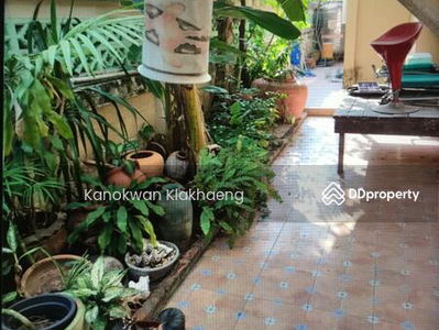 Detached house Sukhumvit 105 Lasalle Bangna Trad. Detached house Sukhumvit 105 Lasalle Bangna Trad, Bangkok, Thailand Detached house Sukhumvit 105 Lasalle Bangna Trad. Detached house Sukhumvit 105 Lasalle Bangna Trad, Bangkok, Thailand