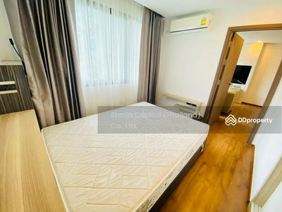 For Rent Dormy Residences Sriracha Condominium, Chon Buri, Thailand For Rent Dormy Residences Sriracha Condominium, Chon Buri, Thailand