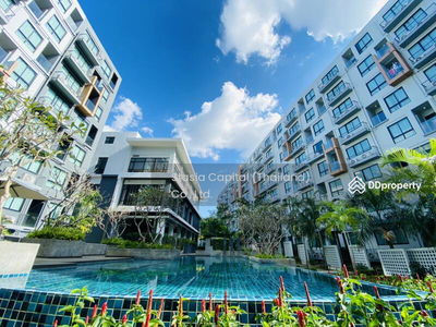 For Rent Dormy Residences Sriracha Condominium, Chon Buri, Thailand For Rent Dormy Residences Sriracha Condominium, Chon Buri, Thailand