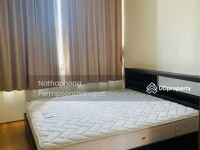 Ficus Lane, Bangkok, Thailand Ficus Lane, Bangkok, Thailand