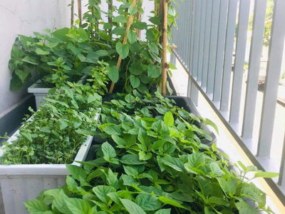 Samsora Riverside, Vietnam Samsora Riverside, Vietnam