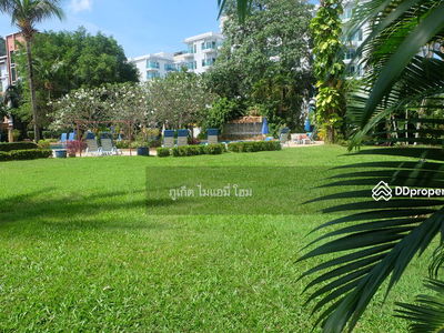 Large Studio of 50Sqm Patong Beach, Phuket, Thailand Large Studio of 50Sqm Patong Beach, Phuket, Thailand
