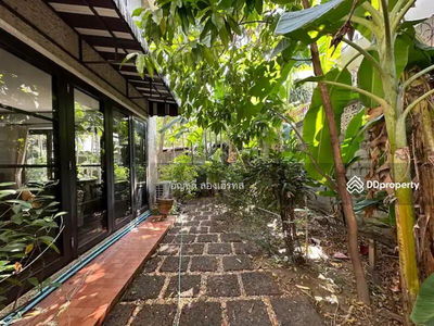 Single House For Rent in Ekkamai, Bangkok, Thailand Single House For Rent in Ekkamai, Bangkok, Thailand