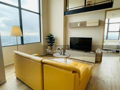 Siamese Sukhumvit 48, Bangkok, Thailand Siamese Sukhumvit 48, Bangkok, Thailand