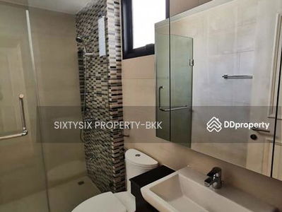 Flora Marigold, Bangkok, Thailand Flora Marigold, Bangkok, Thailand