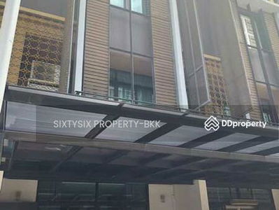 Flora Marigold, Bangkok, Thailand Flora Marigold, Bangkok, Thailand