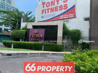 Flora Marigold, Bangkok, Thailand Flora Marigold, Bangkok, Thailand