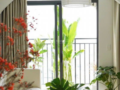 Saigon Asia, Vietnam Saigon Asia, Vietnam