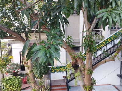 Alojamiento en Da Nang, Vietnam Alojamiento en Da Nang, Vietnam