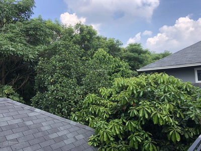 Khu đô thị Ecopark, Vietnam Khu đô thị Ecopark, Vietnam