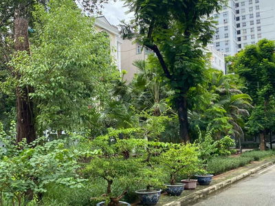 Gehäuse In Hanoi, Vietnam Gehäuse In Hanoi, Vietnam