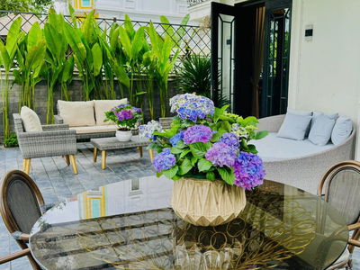 Vinhomes Riverside, Vietnam Vinhomes Riverside, Vietnam