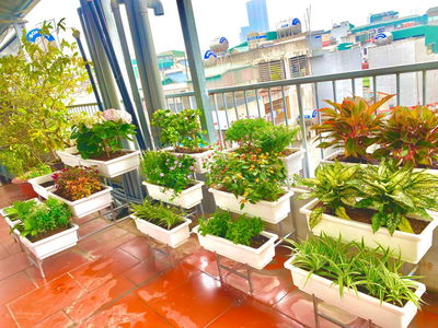 Жилье в Hanoi, Vietnam Жилье в Hanoi, Vietnam