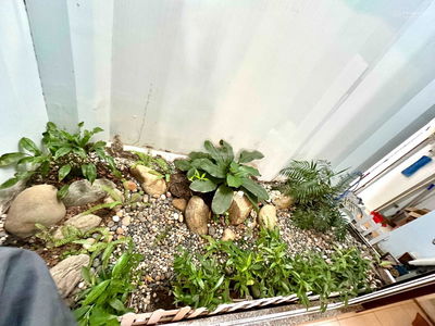 Housing in Nha Be, Vietnam Housing in Nha Be, Vietnam