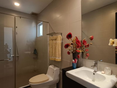 Viet - Sing The Oasis urban area, Vietnam Viet - Sing The Oasis urban area, Vietnam