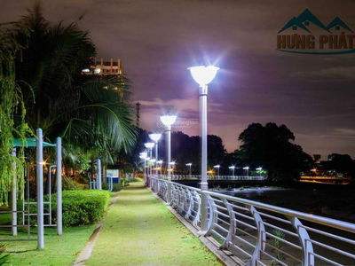 Jamona Golden Silk, Vietnam Jamona Golden Silk, Vietnam