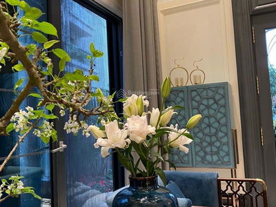 Vinhomes Riverside, Vietnam Vinhomes Riverside, Vietnam