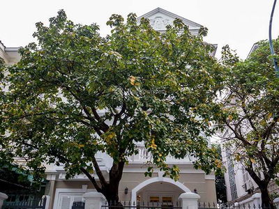 Nam Thang Long - Ciputra urban area