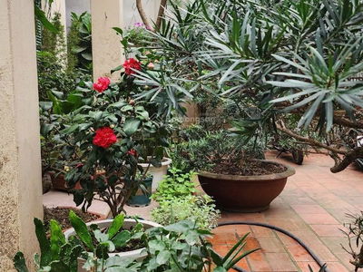 Logement dans Hanoi, Vietnam Logement dans Hanoi, Vietnam