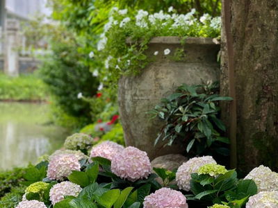 Vinhomes Riverside, Vietnam Vinhomes Riverside, Vietnam