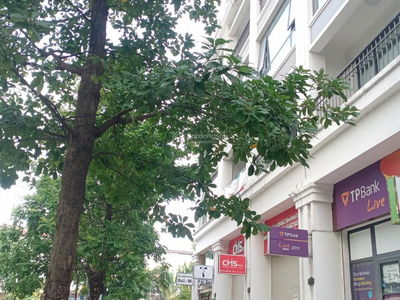 Adjacent to 622 Minh Khai, Vietnam Adjacent to 622 Minh Khai, Vietnam