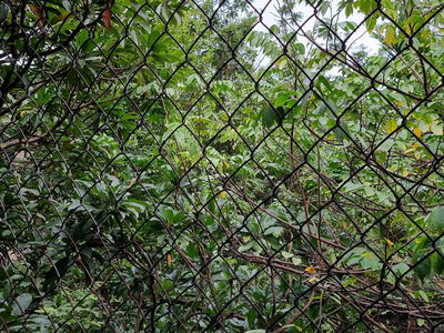 Alojamiento en Hanoi, Vietnam Alojamiento en Hanoi, Vietnam