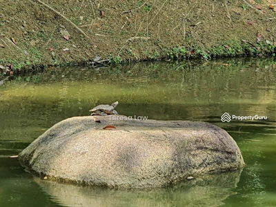 GITA BAYU VILLA, Malaysia GITA BAYU VILLA, Malaysia