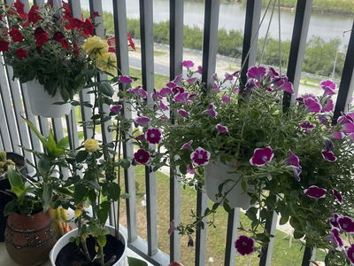 Phuoc Hai Industrial Park, Vietnam Phuoc Hai Industrial Park, Vietnam