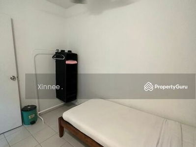 Shamrock Beach, Malaysia Shamrock Beach, Malaysia