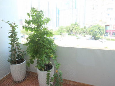 Nguyen Huu Canh Street, Vietnam Nguyen Huu Canh Street, Vietnam