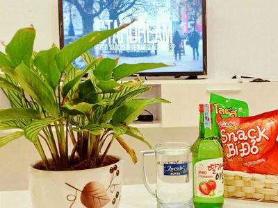 Vung Tau Melody, Vietnam Vung Tau Melody, Vietnam