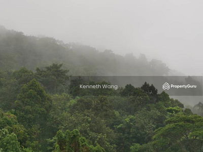 Damansara Foresta, Malaysia Damansara Foresta, Malaysia