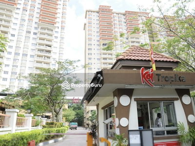 Koi Tropika, Malaysia Koi Tropika, Malaysia