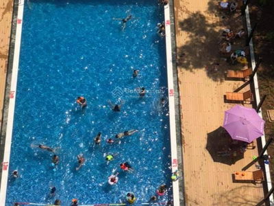 Le Thanh Tan Tao, Vietnam Le Thanh Tan Tao, Vietnam