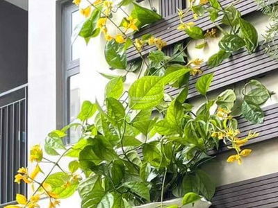 Seasons Avenue, Vietnam Seasons Avenue, Vietnam