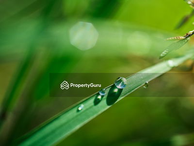 Alila2, Malaysia Alila2, Malaysia