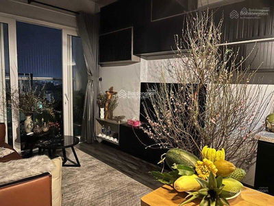 Zenity, Vietnam Zenity, Vietnam