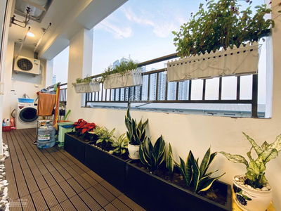 Terra Royal, Vietnam Terra Royal, Vietnam