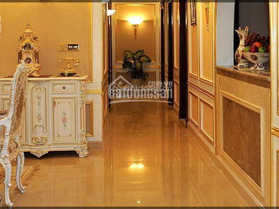 Discovery Complex, Vietnam Discovery Complex, Vietnam