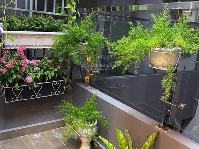 The Monarchy, Vietnam The Monarchy, Vietnam