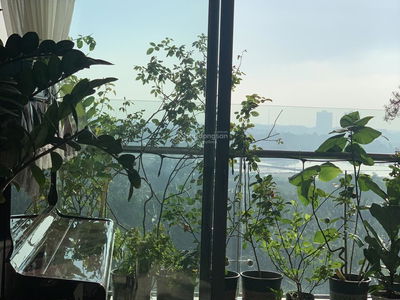 Thủ Thiêm Dragon, Vietnam Thủ Thiêm Dragon, Vietnam