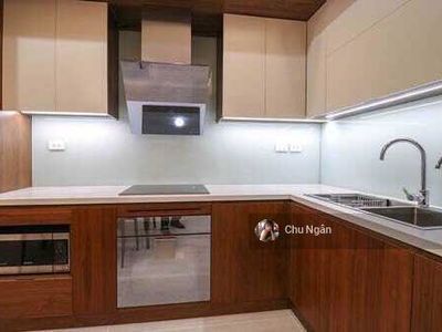 The Golden Armor, Vietnam The Golden Armor, Vietnam