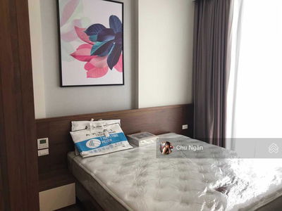 The Golden Armor, Vietnam The Golden Armor, Vietnam